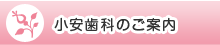 子安歯科のご案内